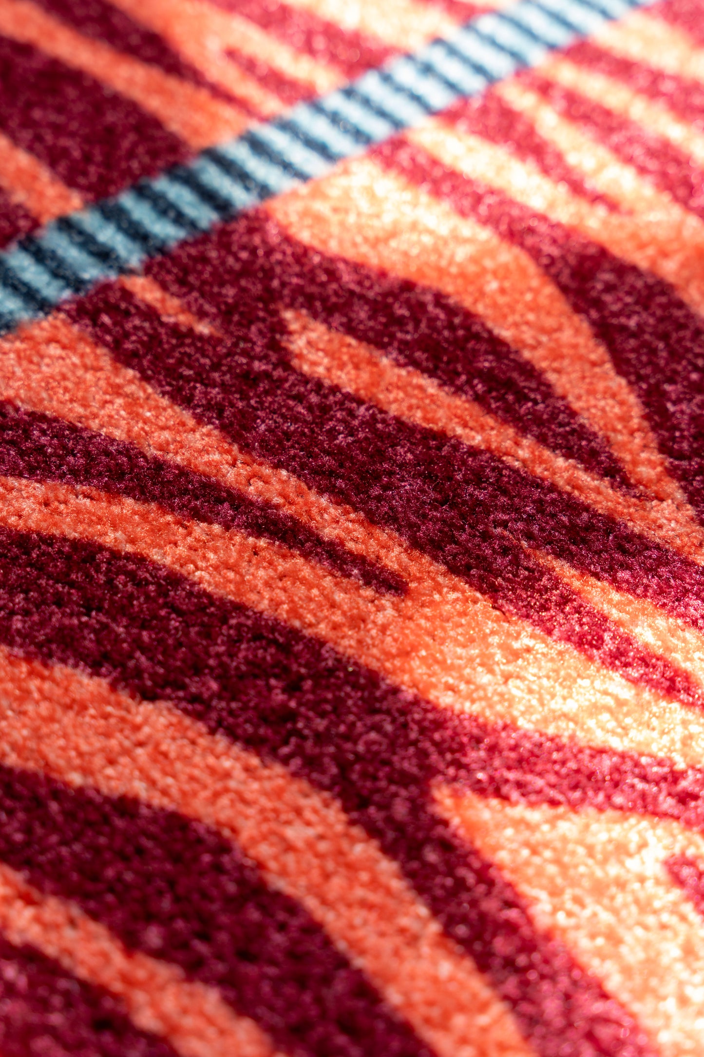Urban Zebra (Sample)