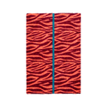 Urban Zebra