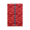 Urban Zebra