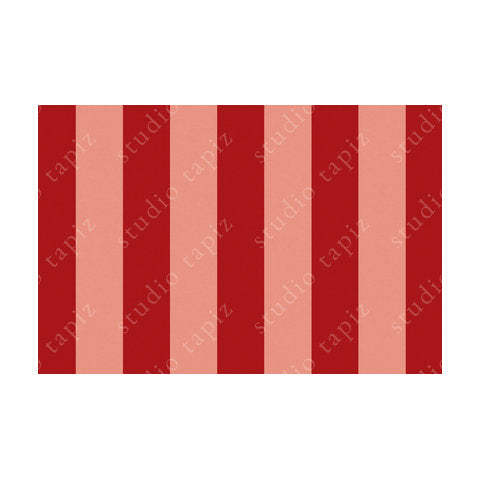 ST_SalmonRed_40x60