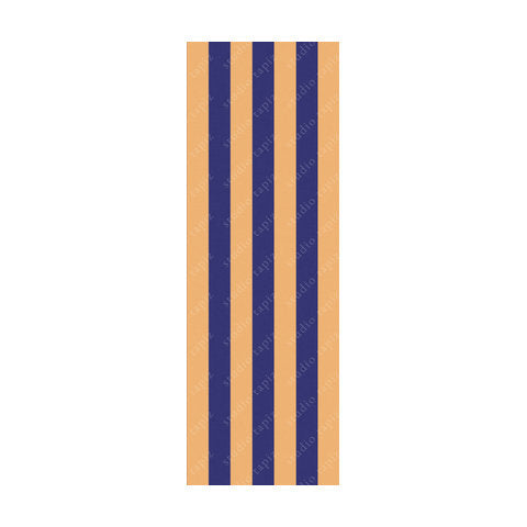 ST_BlueYellow_142x49