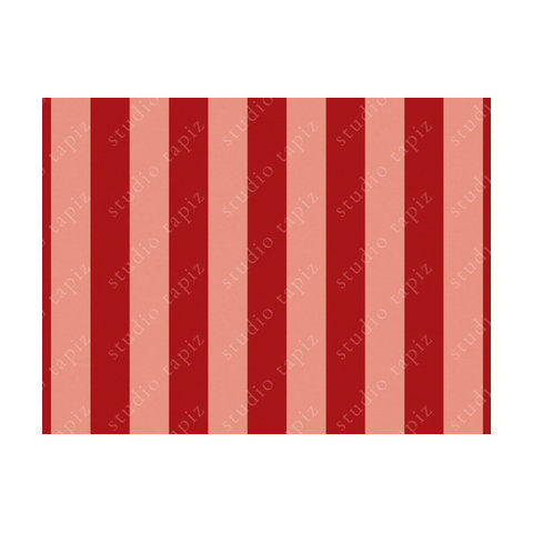 ST_SalmonRed_60x80