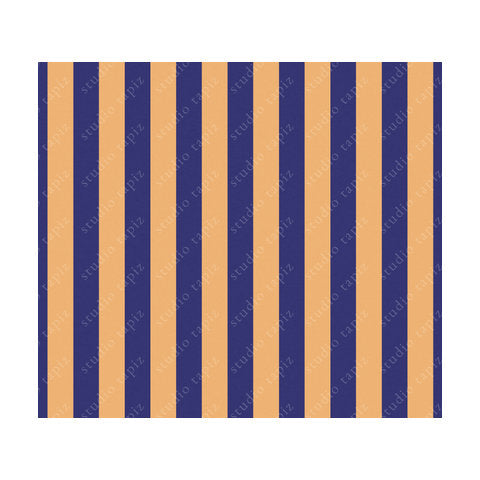 ST_Blue-Yellow_97x110