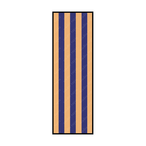 ST_Blue-Yellow_150x50_Edge