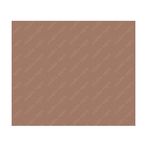 ST_ST_Dusky-Salmon_120x90_WMV_95x112_WMV
