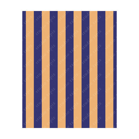 ST_Blue-Yellow_103x83_WMV