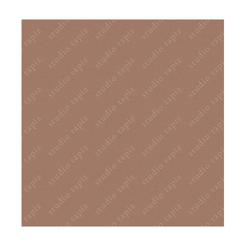 ST_Dusky-Salmon_90x88_10180