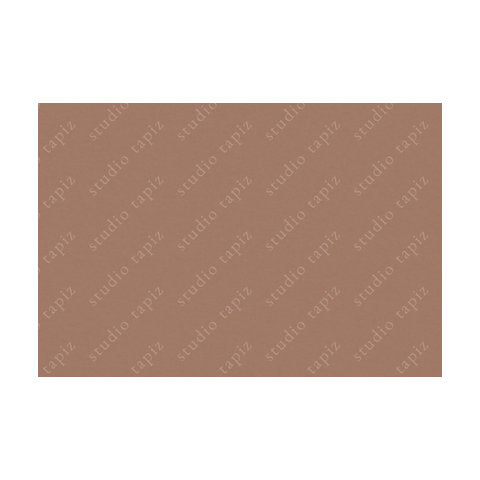 ST_Dusky-Salmon_63x93_10523
