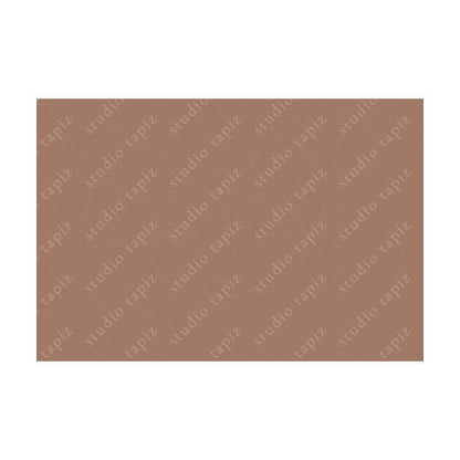 ST_Dusky-Salmon_63x93_10523