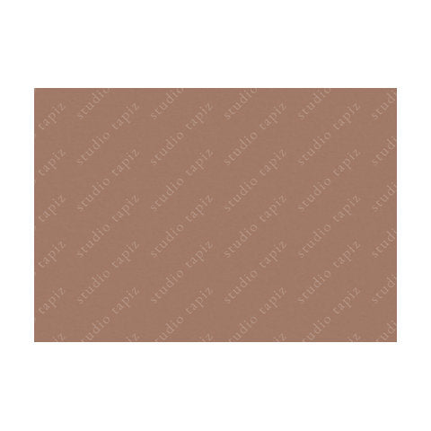 ST_DuskySalmon_70x100