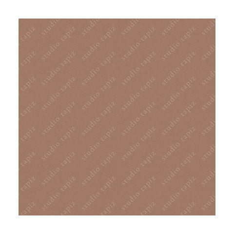 ST_DuskySalmon_100x100