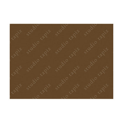 ST_BurntCaramel_53x73