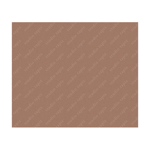 ST_DuskySalmon_100x120