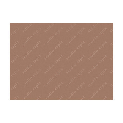 ST_Dusky-Salmon_71x96