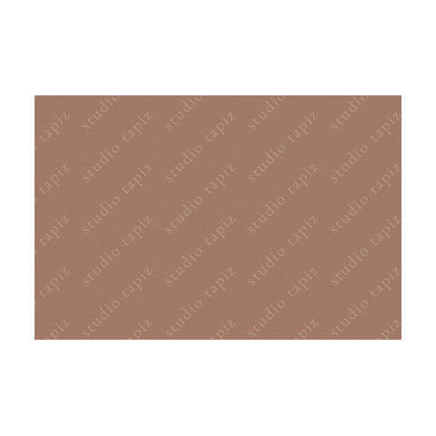 ST_Dusky-Salmon_60x90