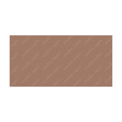 ST_Dusky-Salmon_50x100_10291