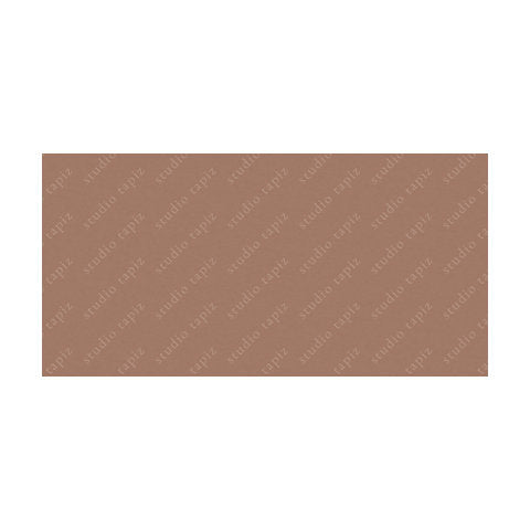 ST_Dusky-Salmon_63x126_10625